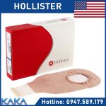 Thuong-hieu-tui-hau-mon-nhan-tao-Hollister